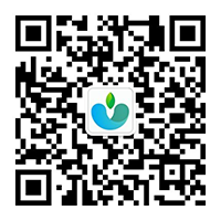 湖南省衡陽(yáng)市綠洲園林建設(shè)有限公司官方網(wǎng)站www.stpeteremodeling.com